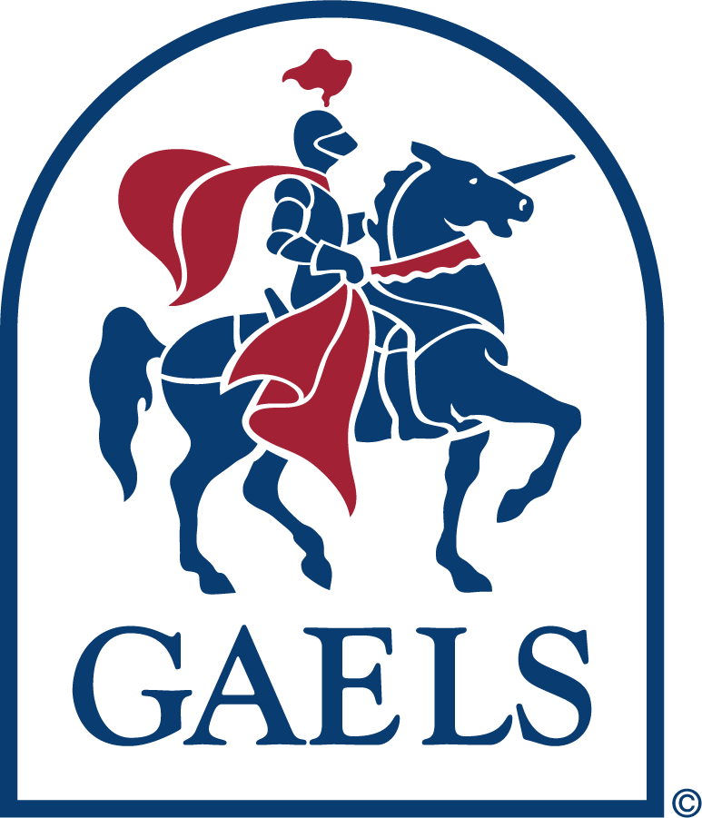 Saint Marys Gaels 1991-2000 Primary Logo iron on transfers for clothing
